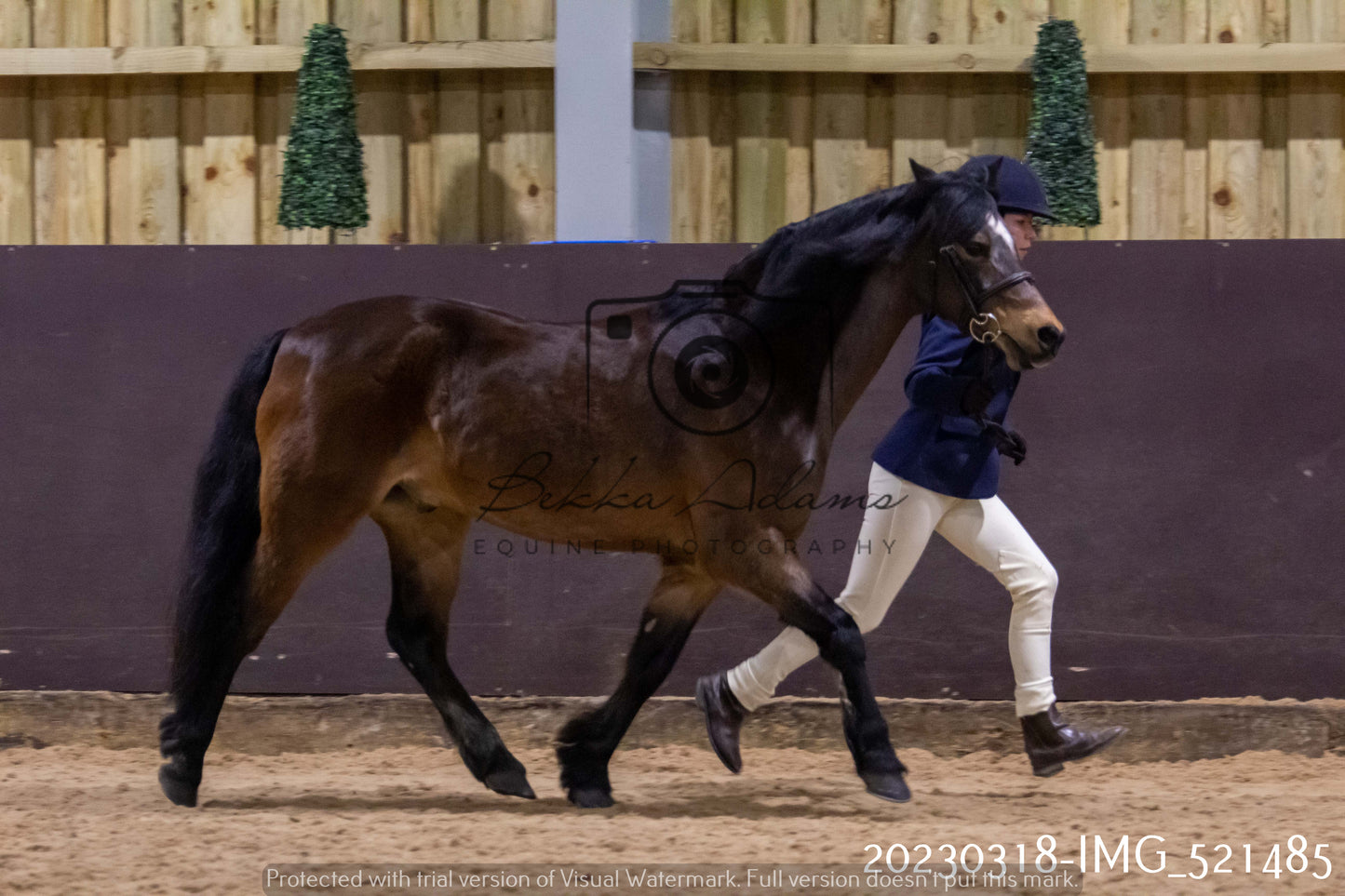 Home Farm Showing 18th March (Inhand)