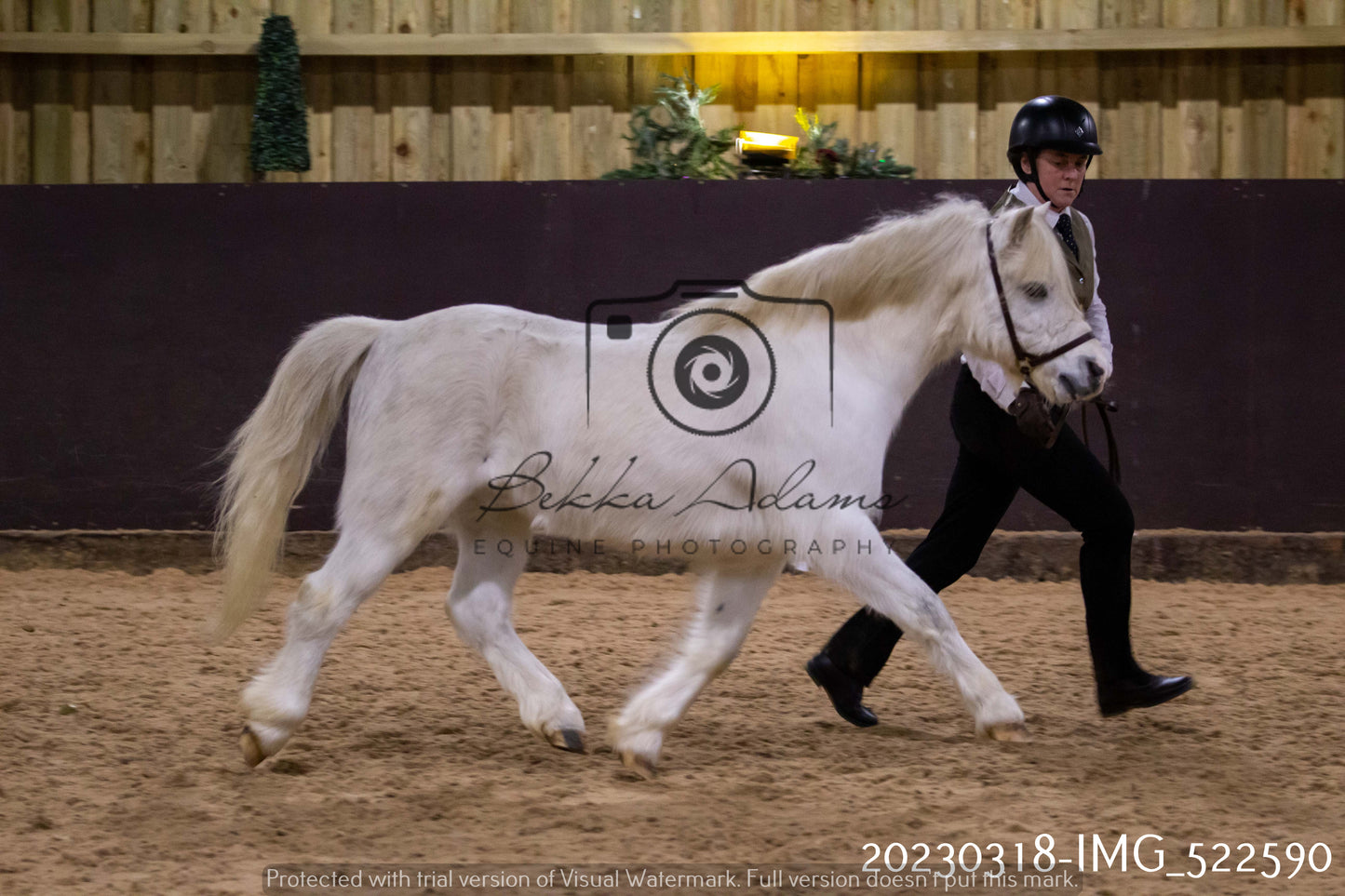 Home Farm Showing 18th March (Inhand)