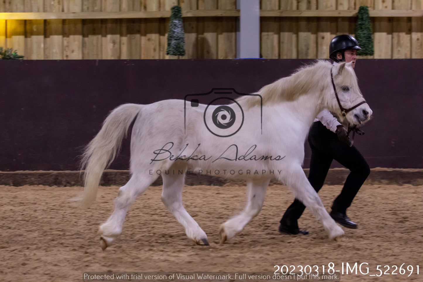 Home Farm Showing 18th March (Inhand)