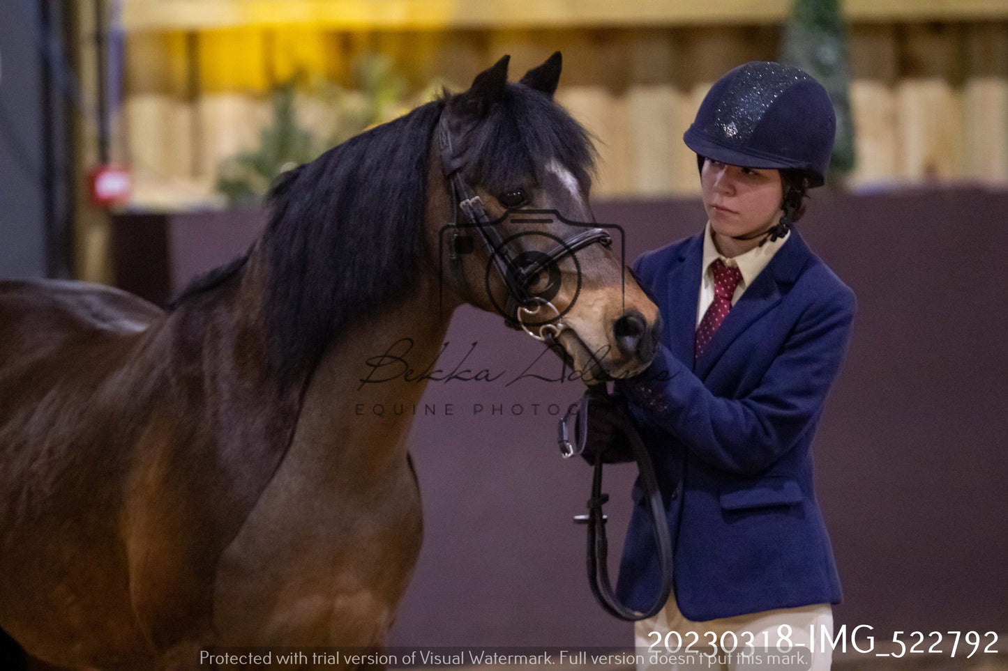 Home Farm Showing 18th March (Inhand)