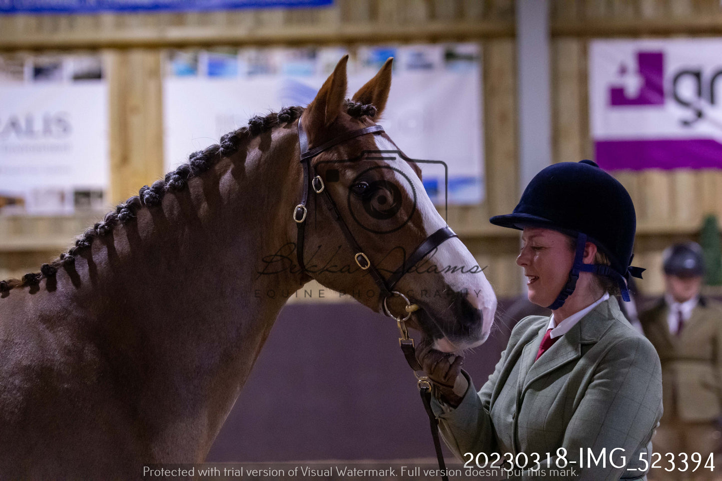 Home Farm Showing 18th March (Inhand)