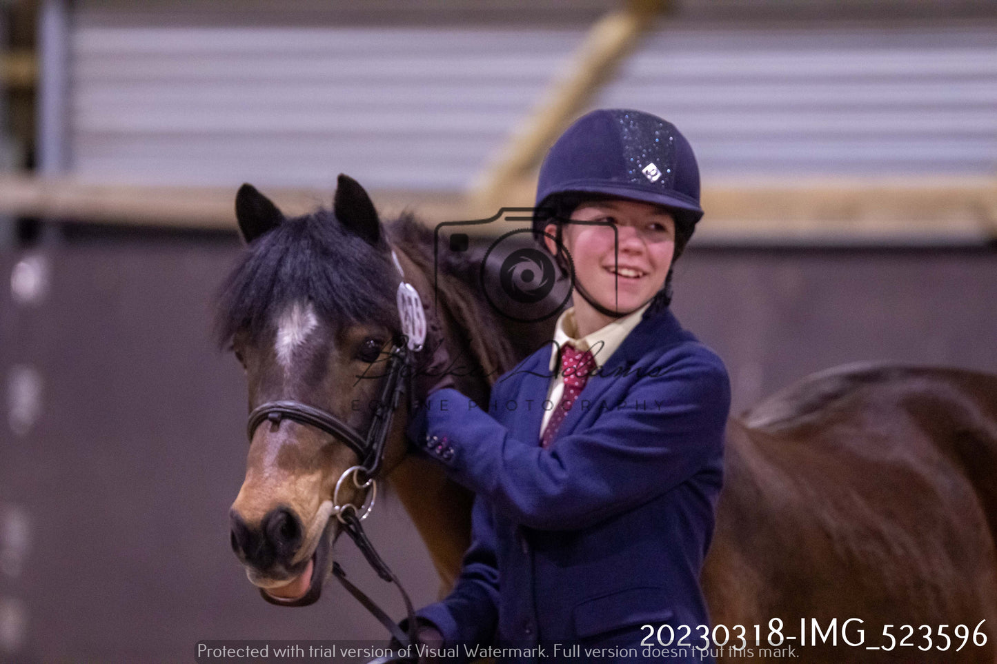 Home Farm Showing 18th March (Inhand)