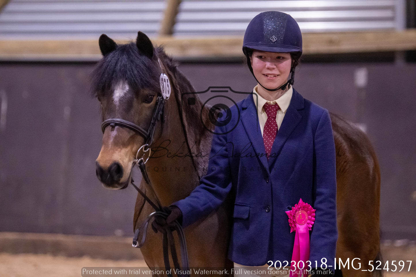Home Farm Showing 18th March (Inhand)