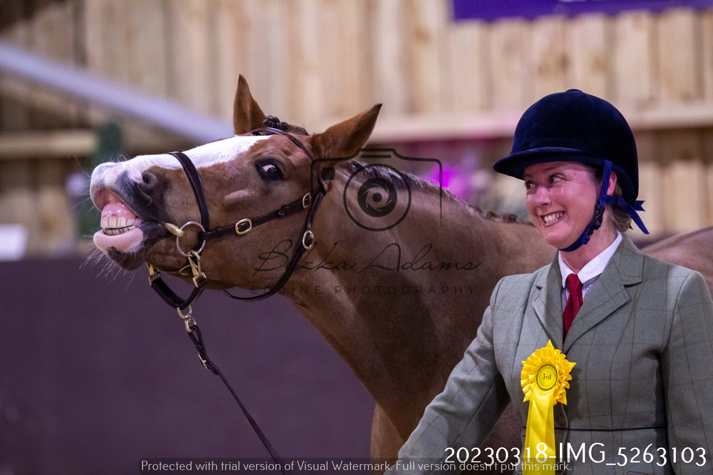 Home Farm Showing 18th March (Inhand)