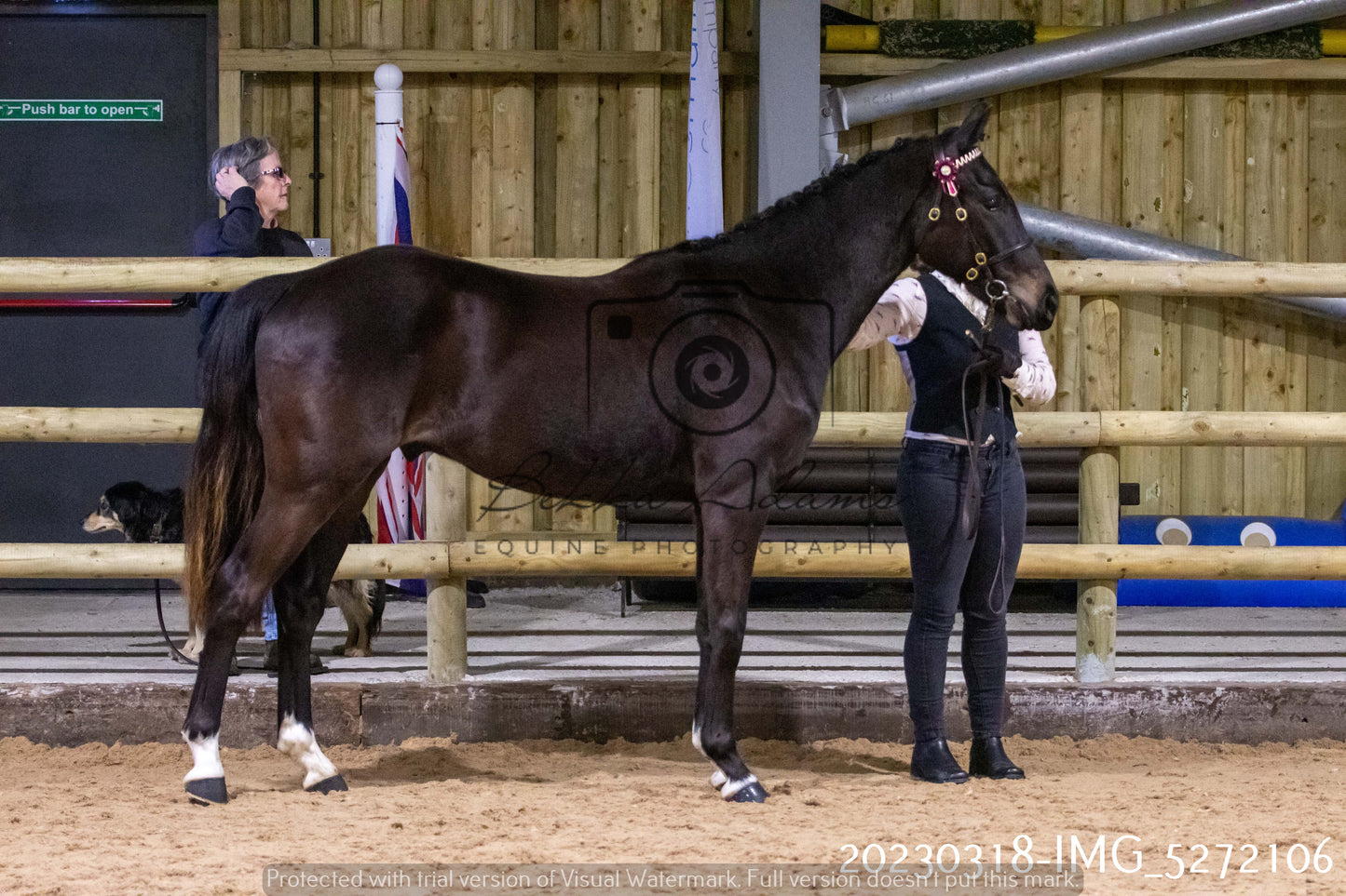 Home Farm Showing 18th March (Inhand)