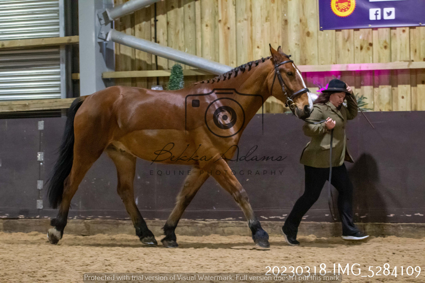 Home Farm Showing 18th March (Inhand)