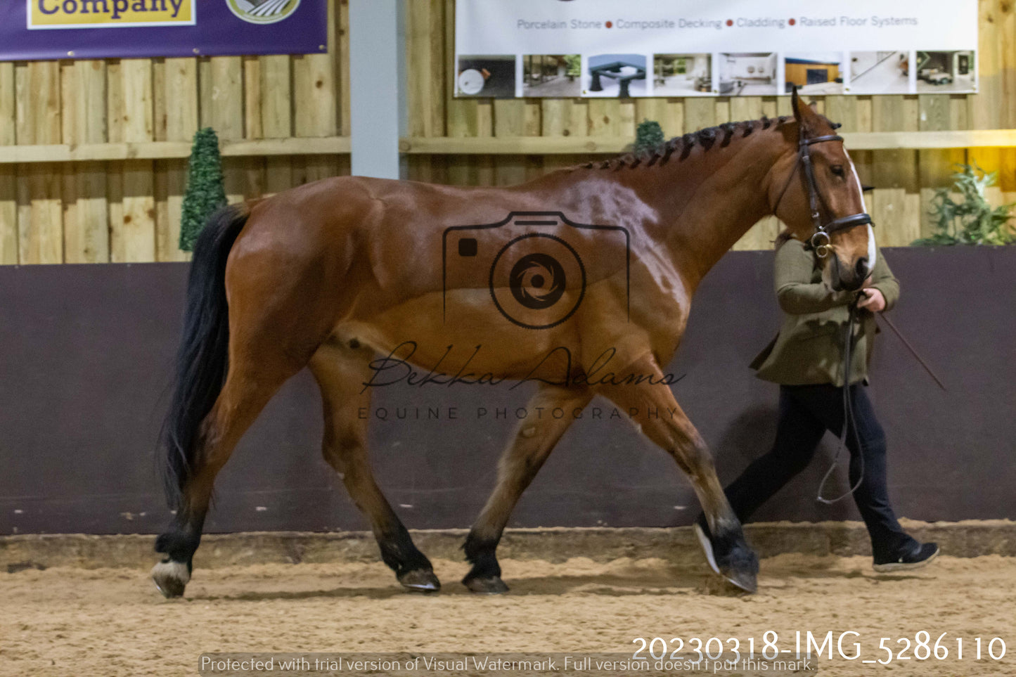 Home Farm Showing 18th March (Inhand)