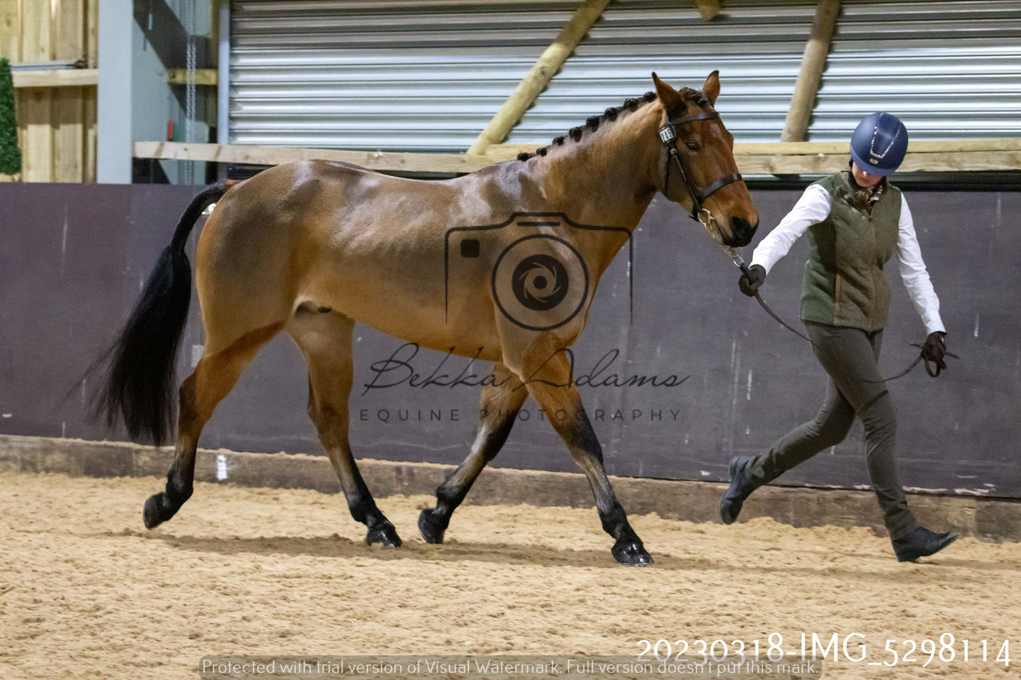 Home Farm Showing 18th March (Inhand)