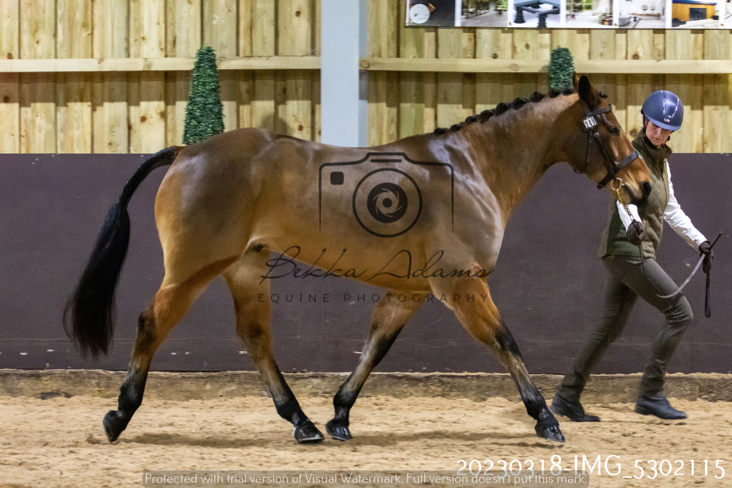 Home Farm Showing 18th March (Inhand)