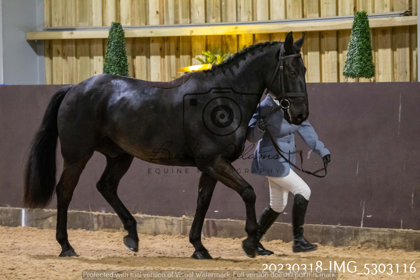 Home Farm Showing 18th March (Inhand)