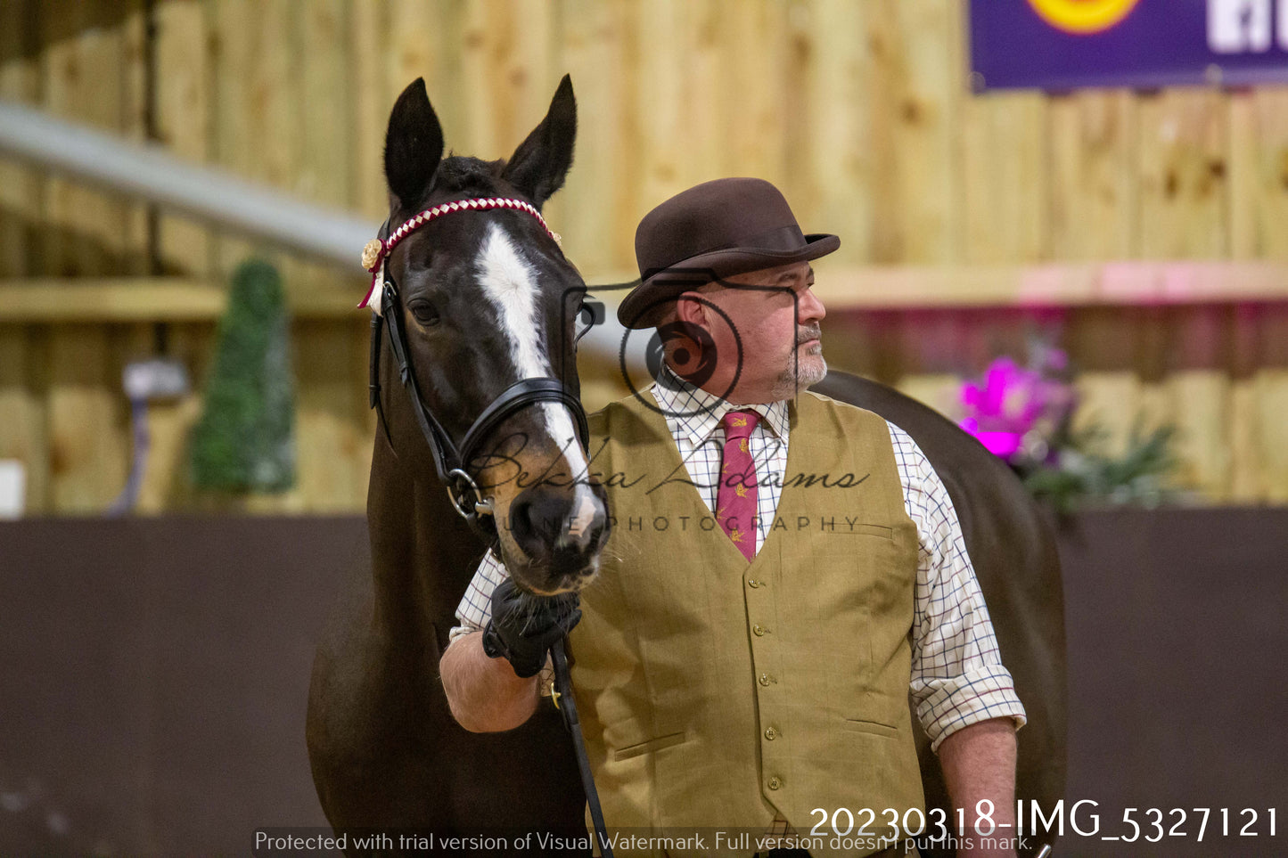 Home Farm Showing 18th March (Inhand)