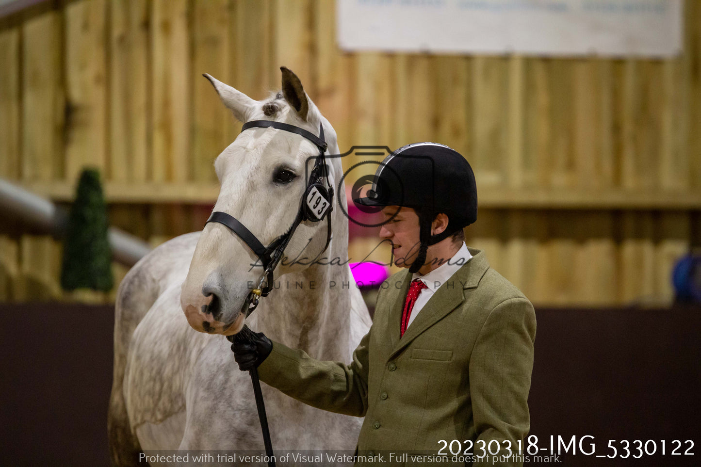 Home Farm Showing 18th March (Inhand)