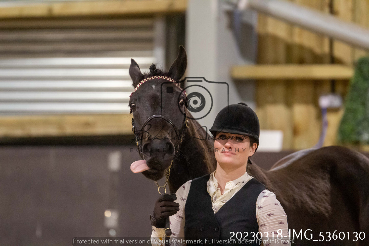 Home Farm Showing 18th March (Inhand)