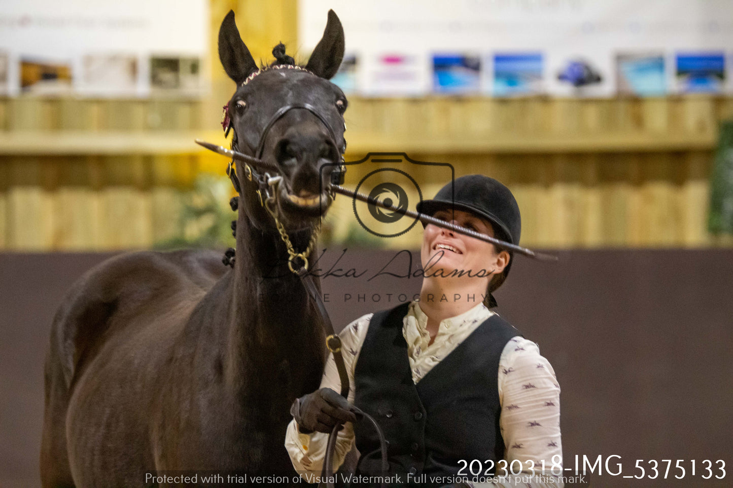 Home Farm Showing 18th March (Inhand)