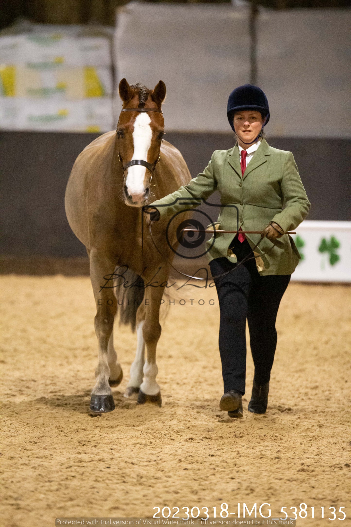 Home Farm Showing 18th March (Inhand)