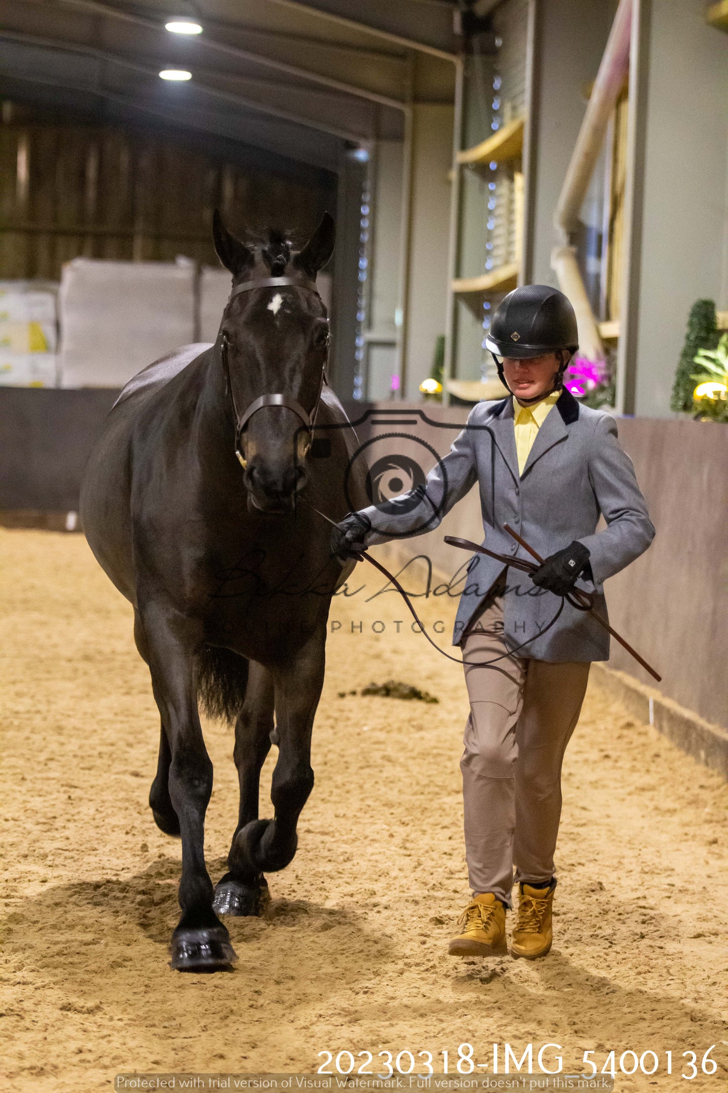 Home Farm Showing 18th March (Inhand)