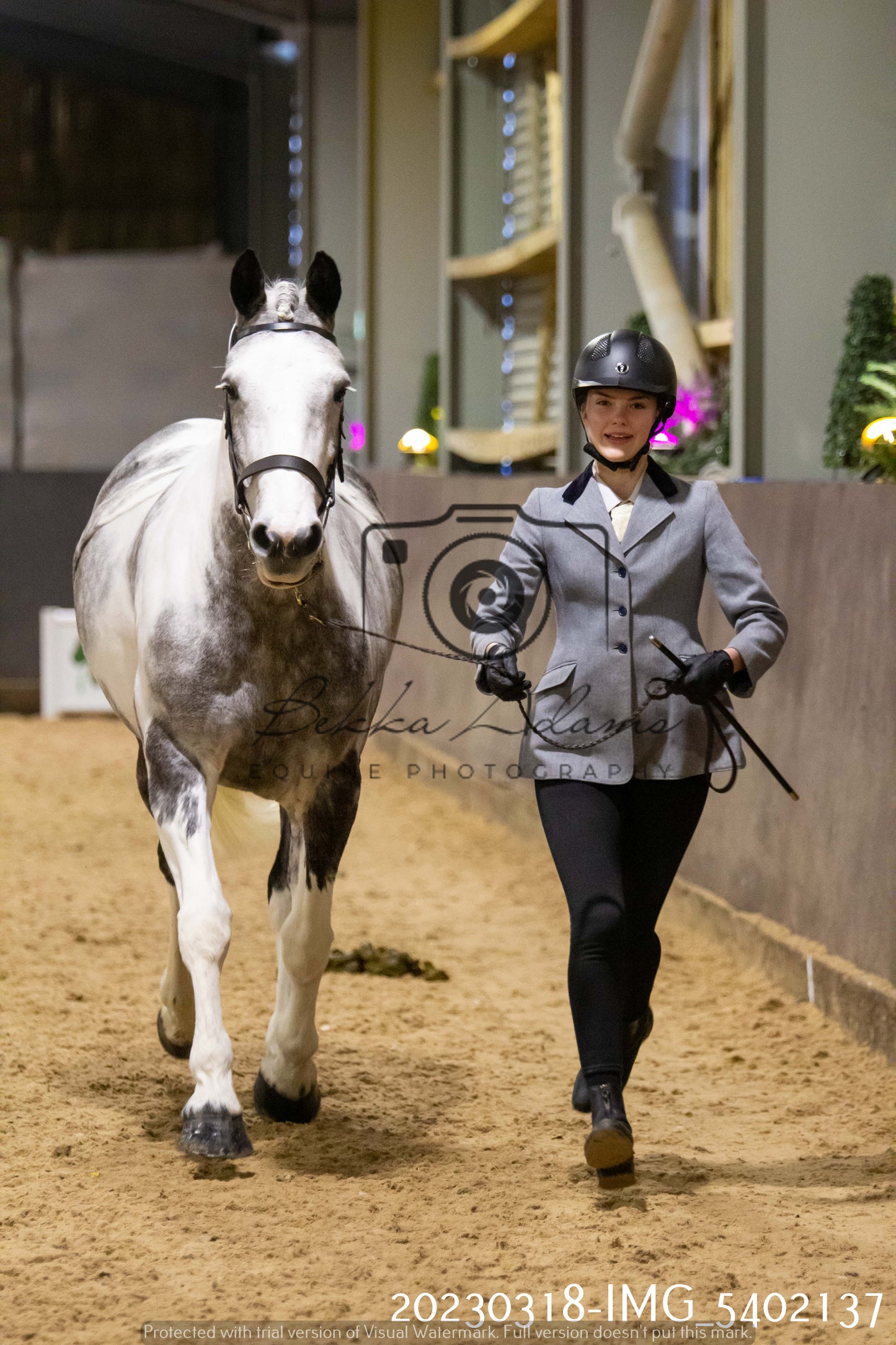 Home Farm Showing 18th March (Inhand)