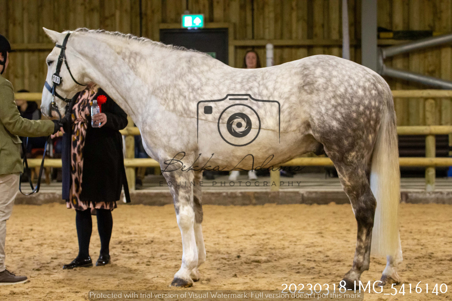 Home Farm Showing 18th March (Inhand)