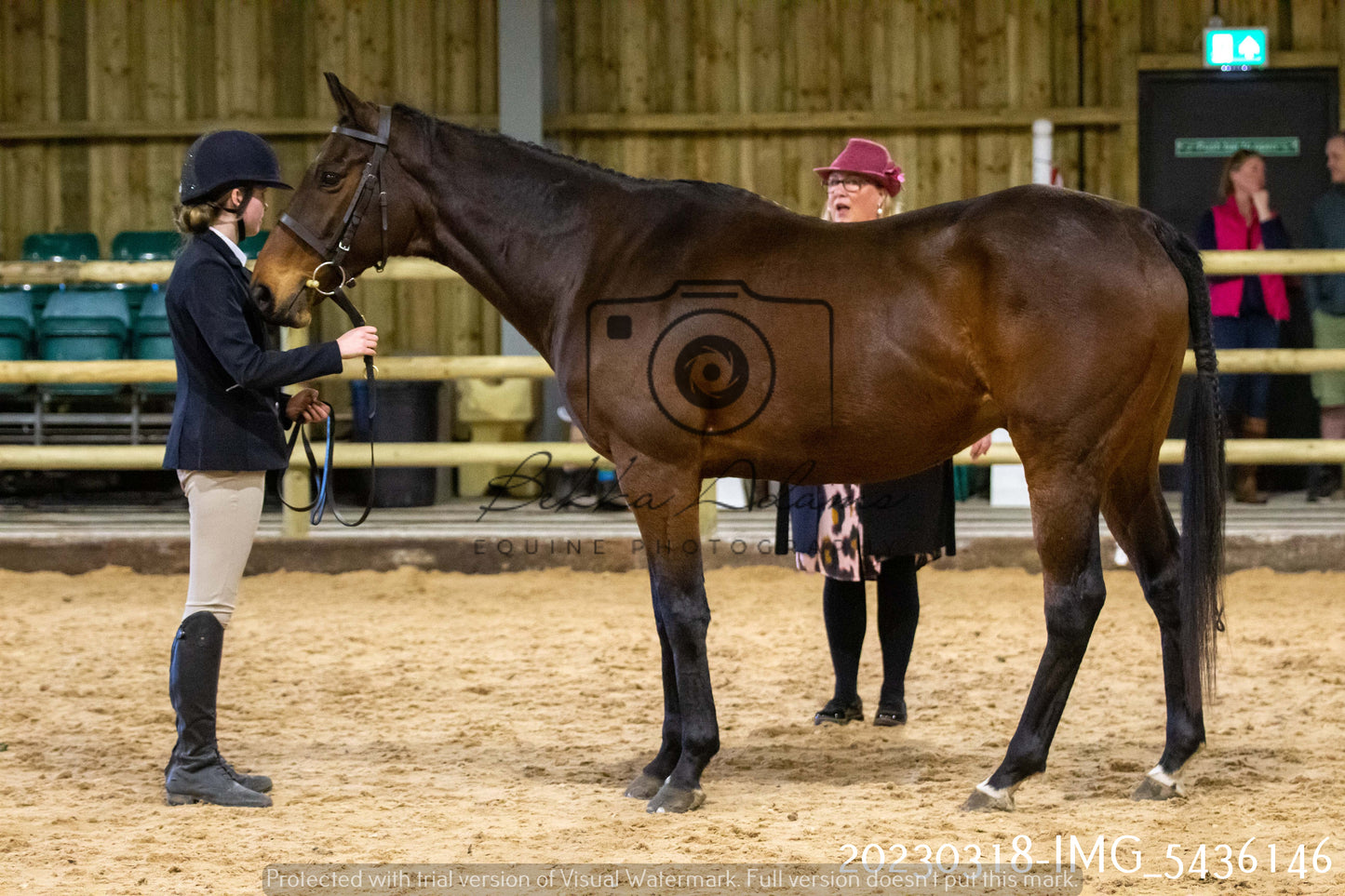 Home Farm Showing 18th March (Inhand)