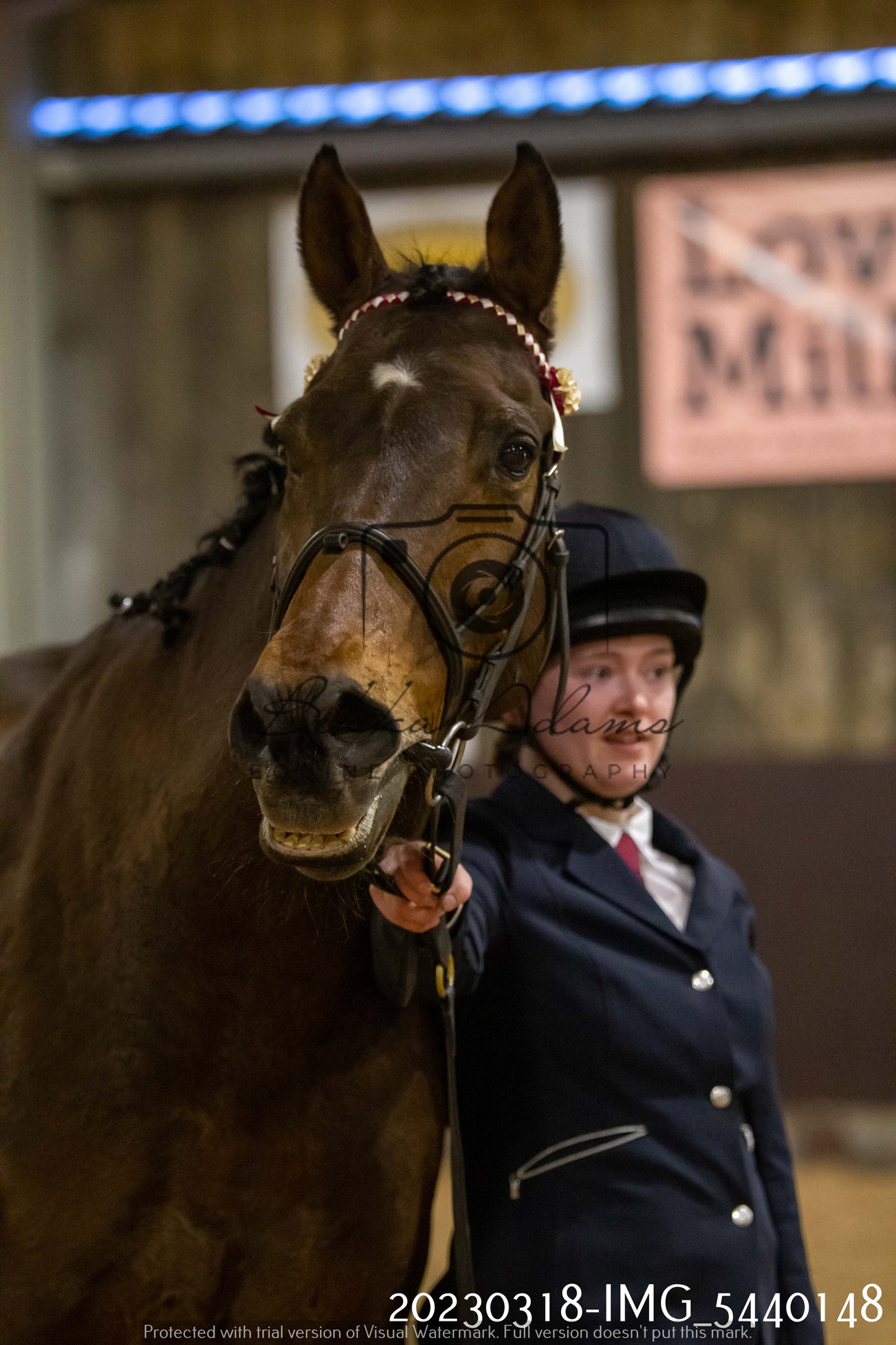 Home Farm Showing 18th March (Inhand)