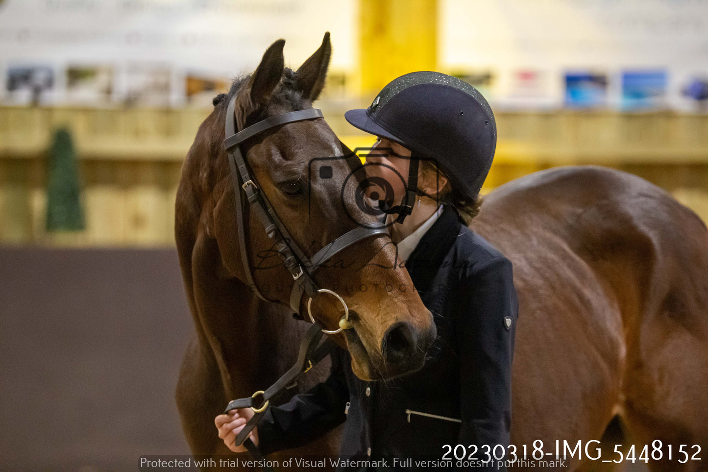 Home Farm Showing 18th March (Inhand)