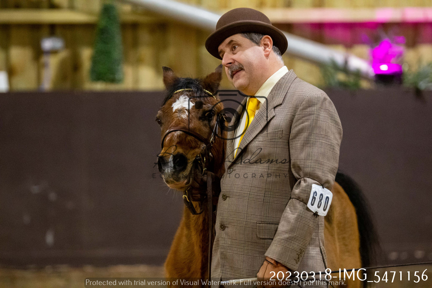 Home Farm Showing 18th March (Inhand)