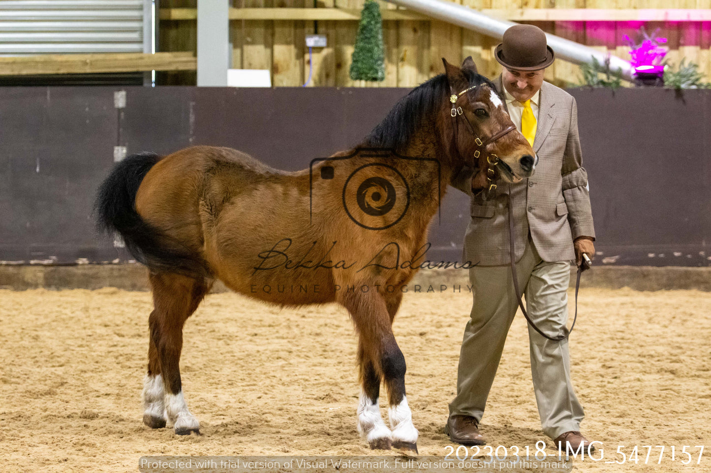 Home Farm Showing 18th March (Inhand)
