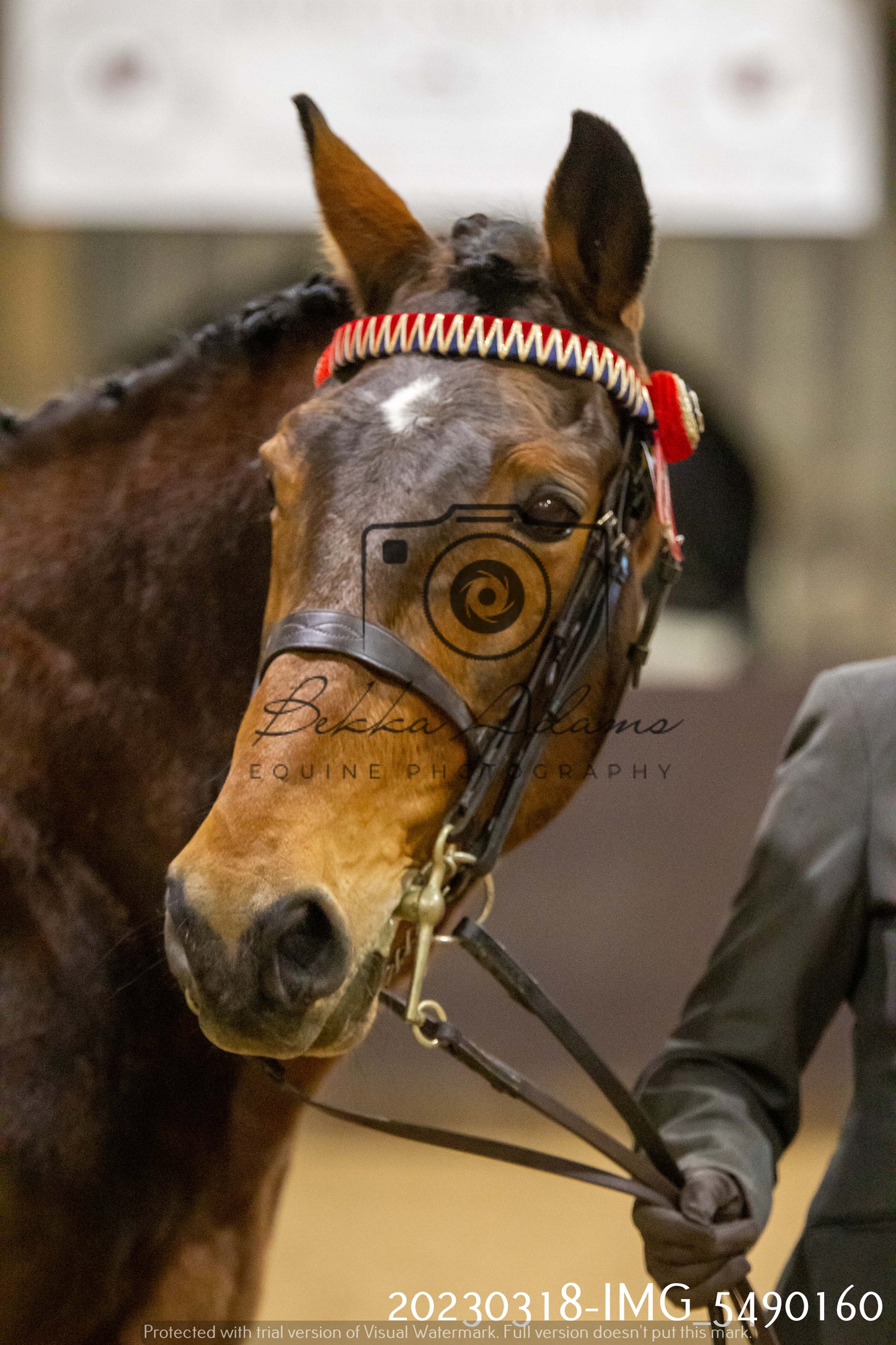 Home Farm Showing 18th March (Inhand)