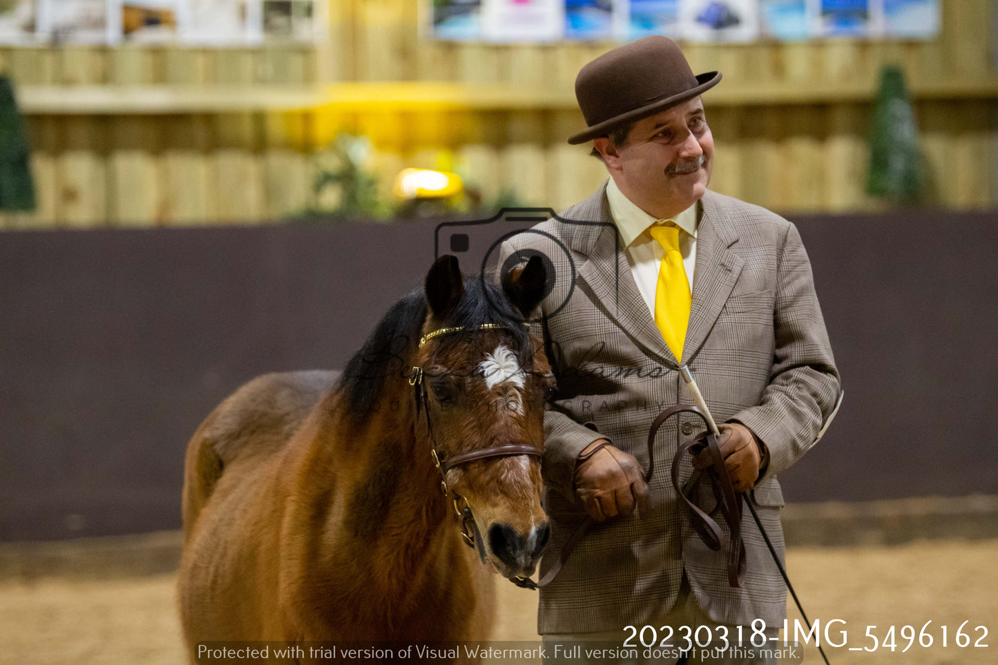 Home Farm Showing 18th March (Inhand)