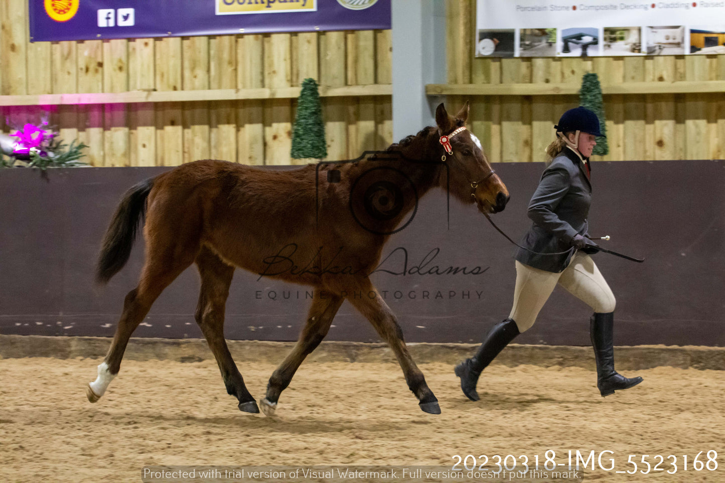 Home Farm Showing 18th March (Inhand)