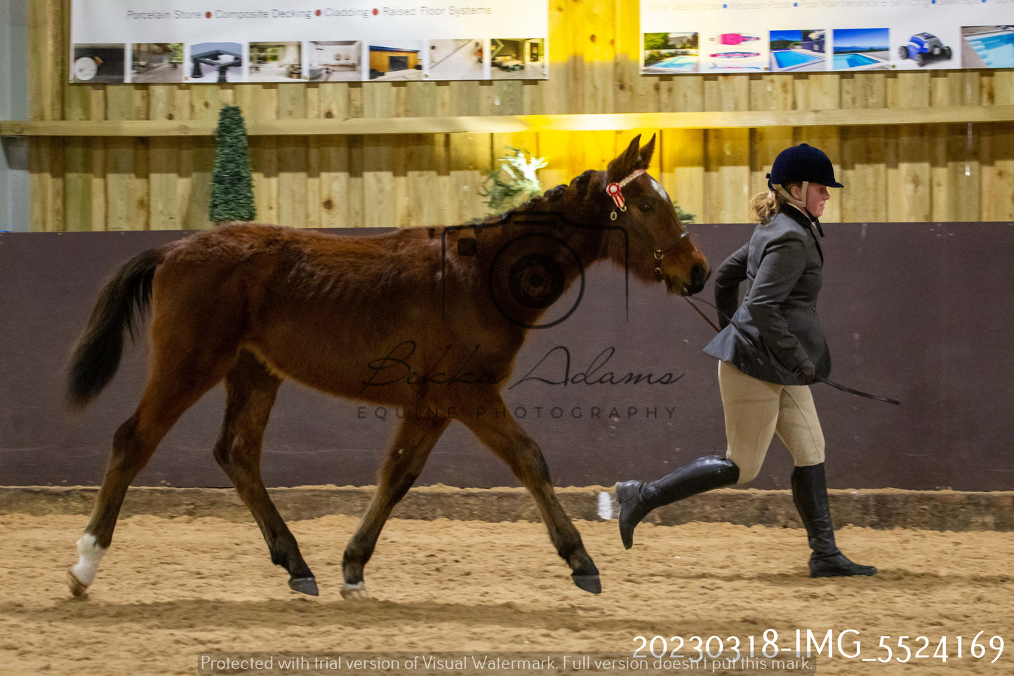 Home Farm Showing 18th March (Inhand)