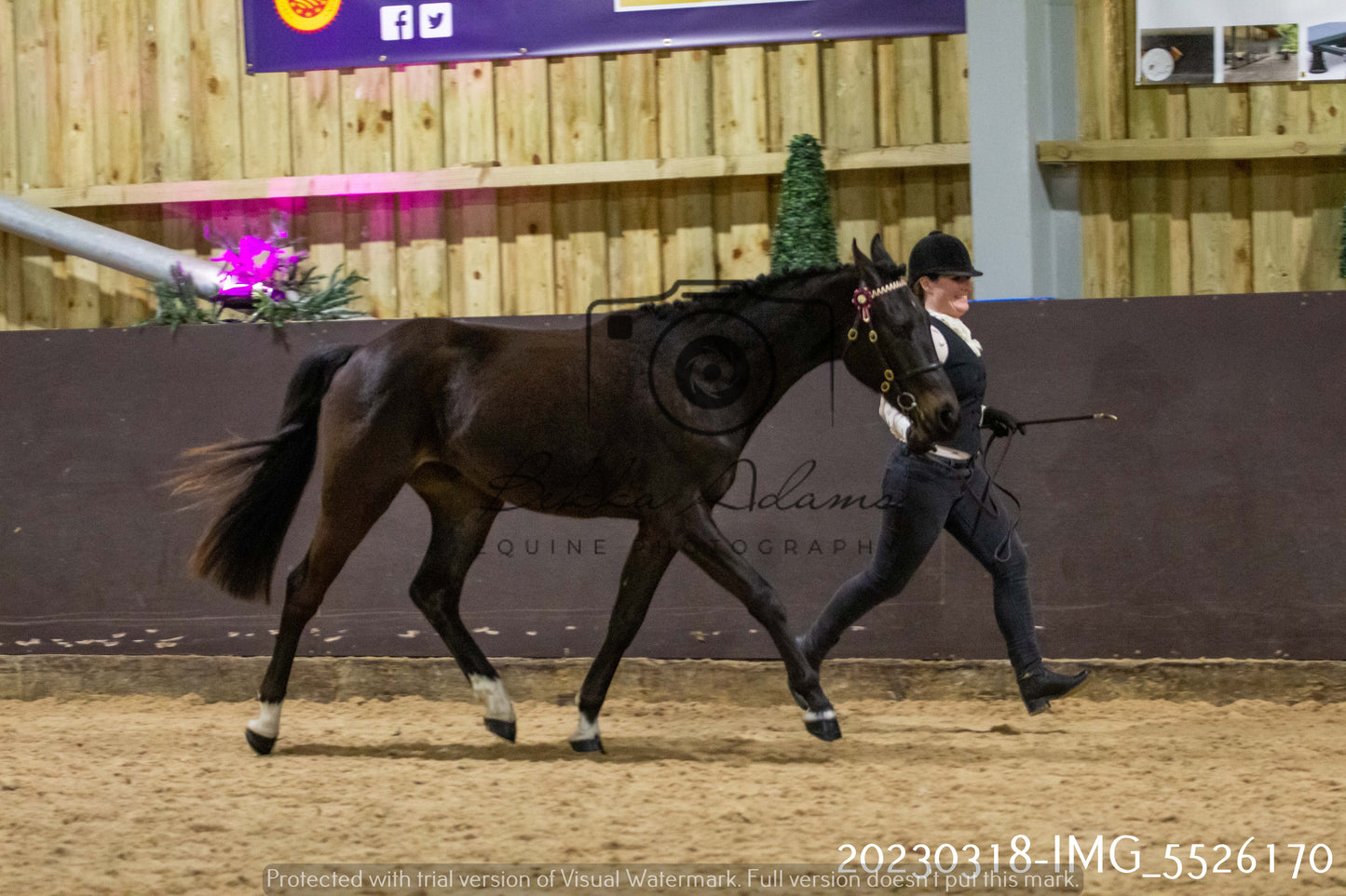 Home Farm Showing 18th March (Inhand)