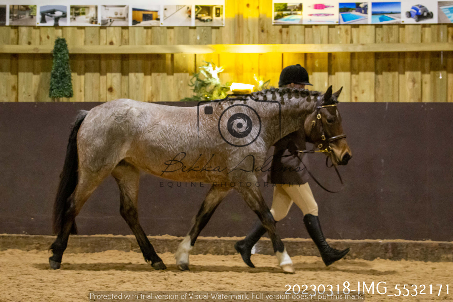 Home Farm Showing 18th March (Inhand)