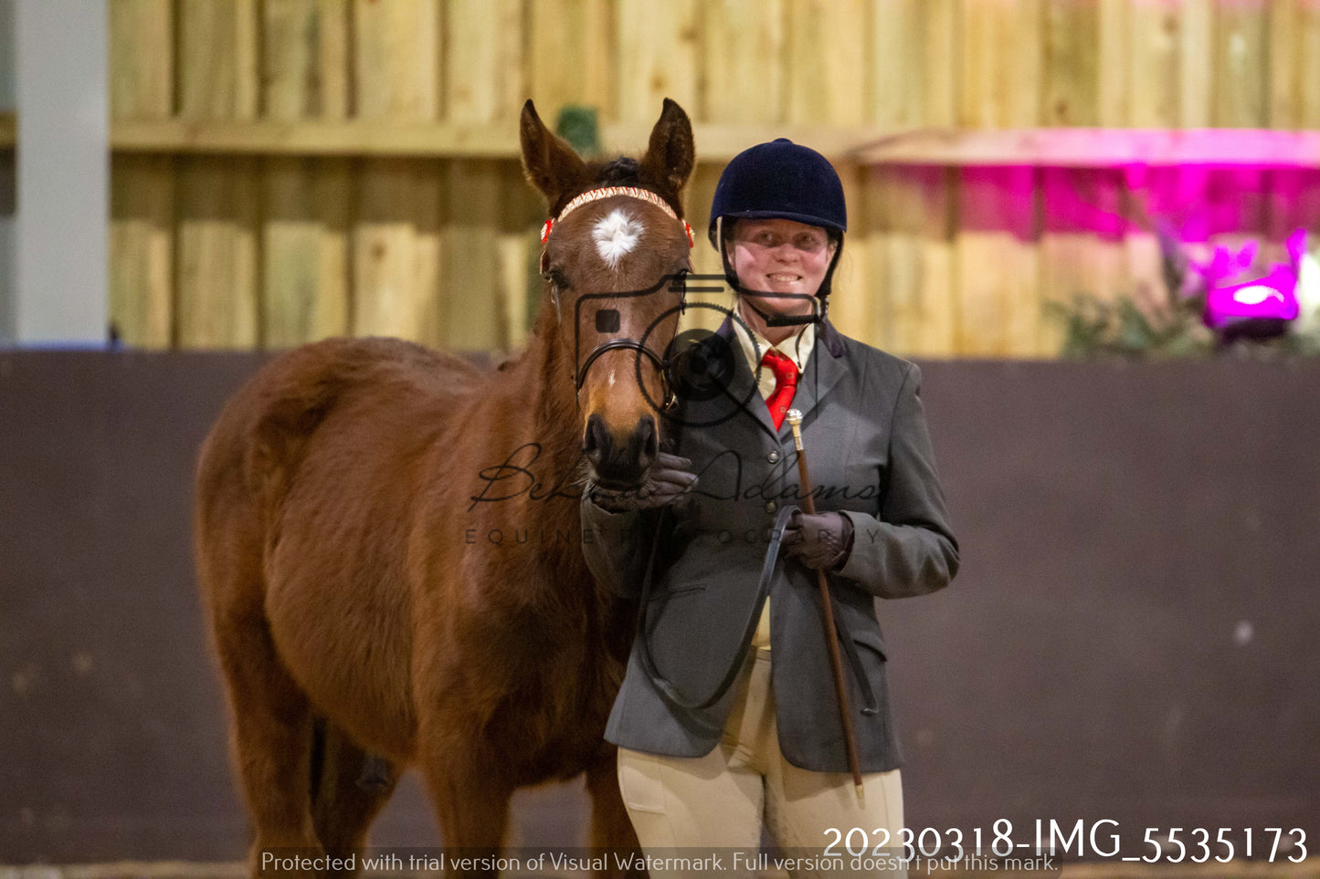 Home Farm Showing 18th March (Inhand)