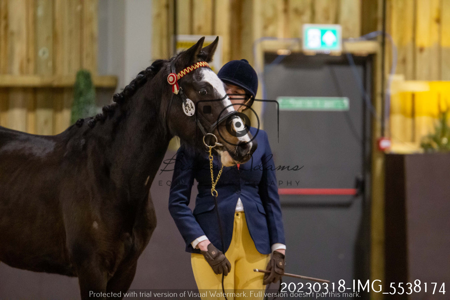 Home Farm Showing 18th March (Inhand)