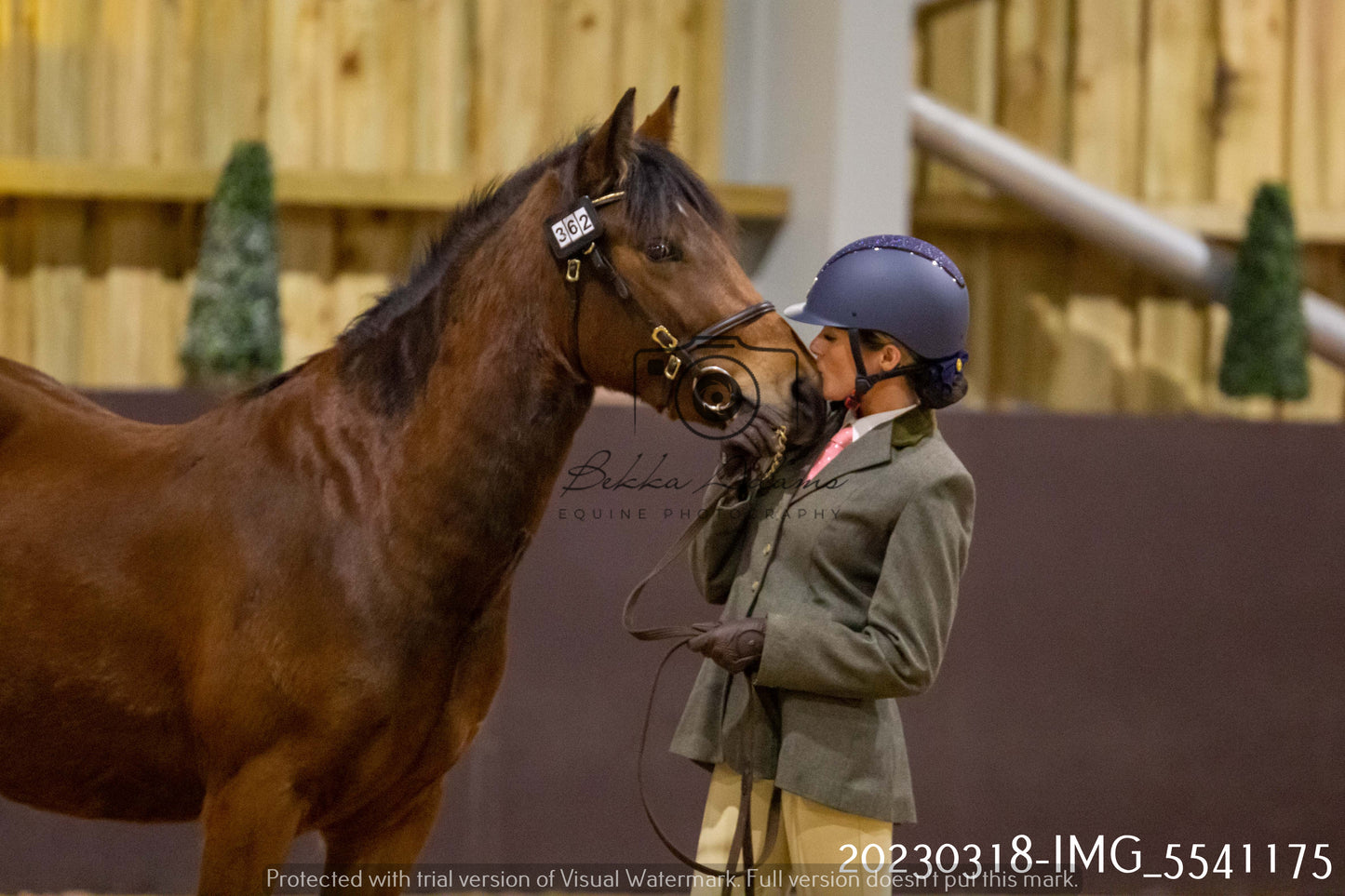 Home Farm Showing 18th March (Inhand)