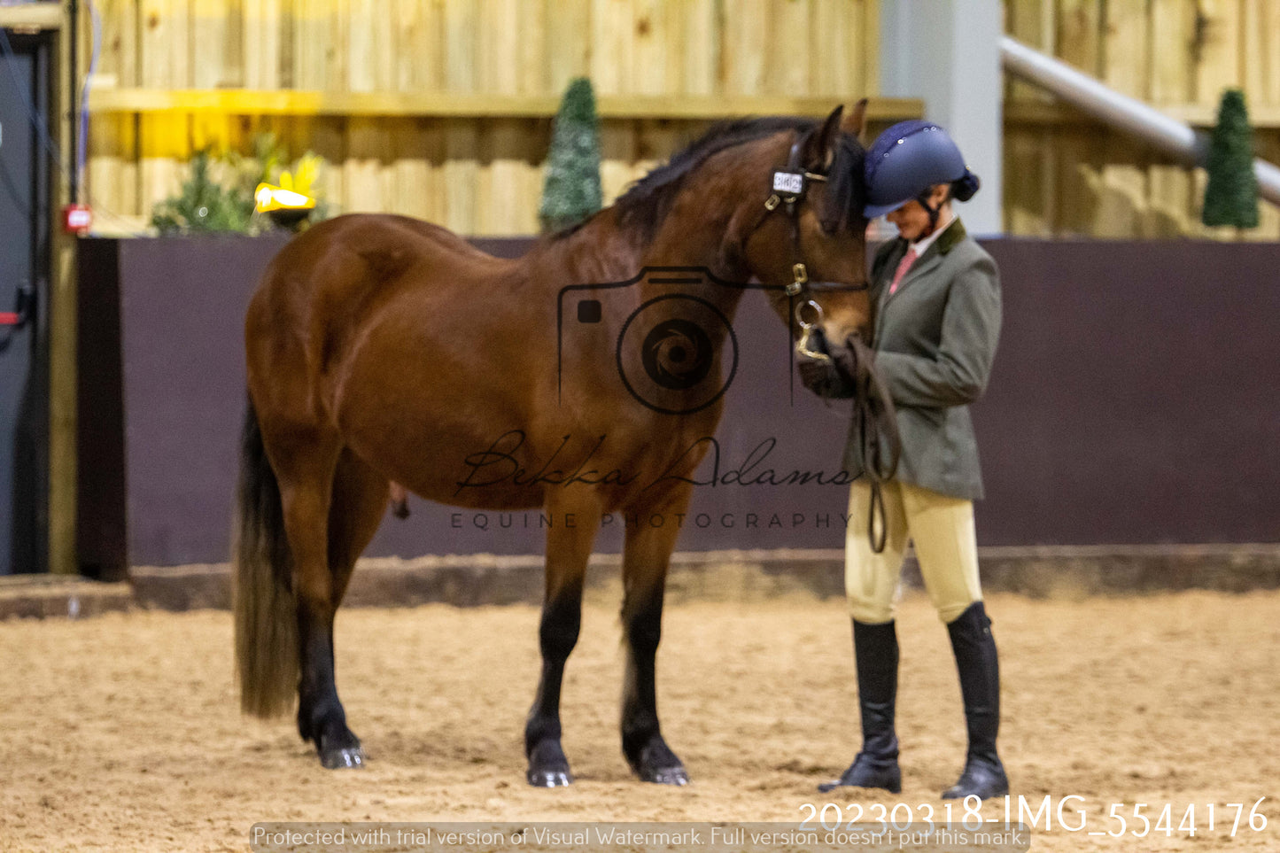 Home Farm Showing 18th March (Inhand)