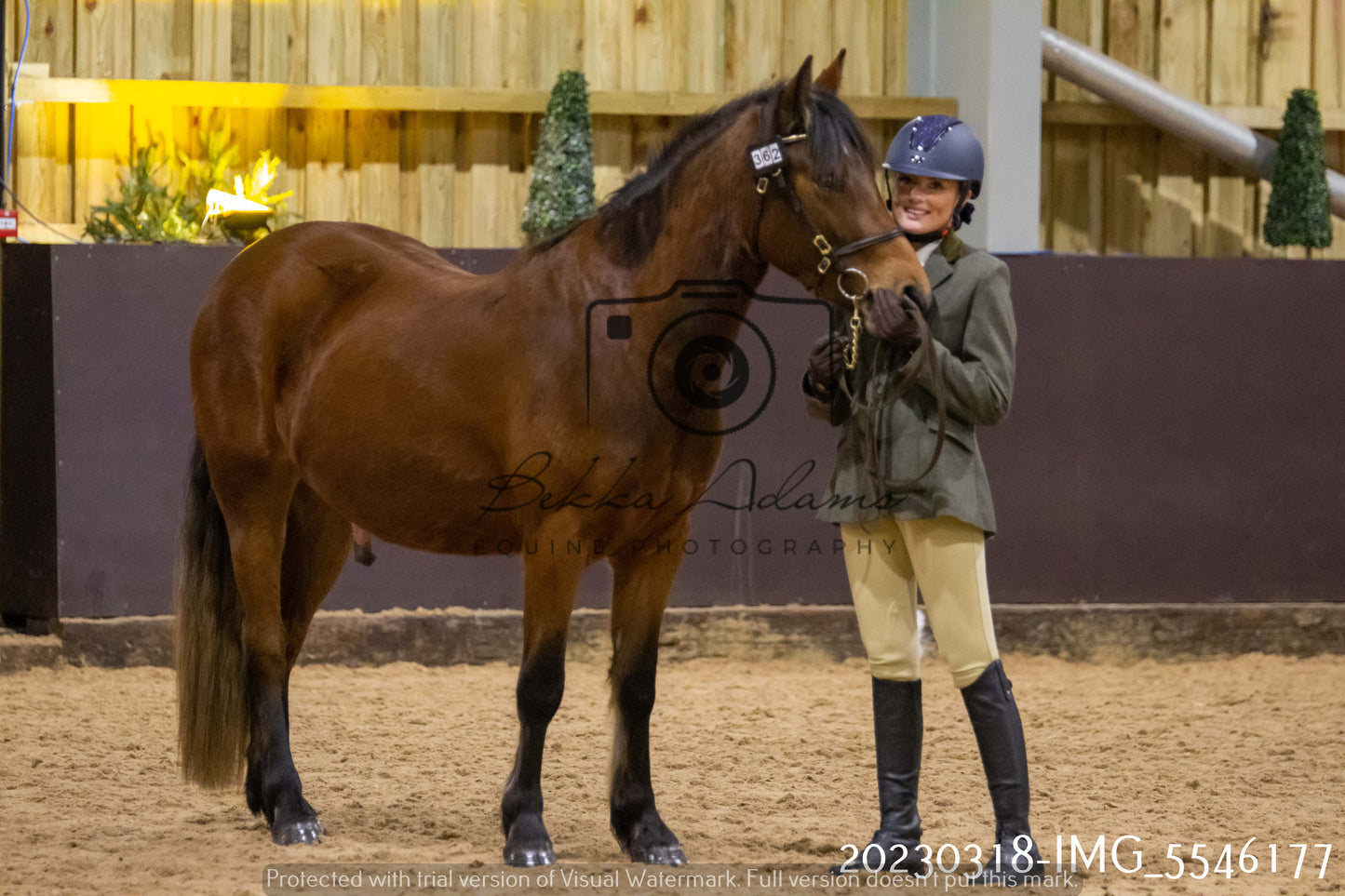 Home Farm Showing 18th March (Inhand)