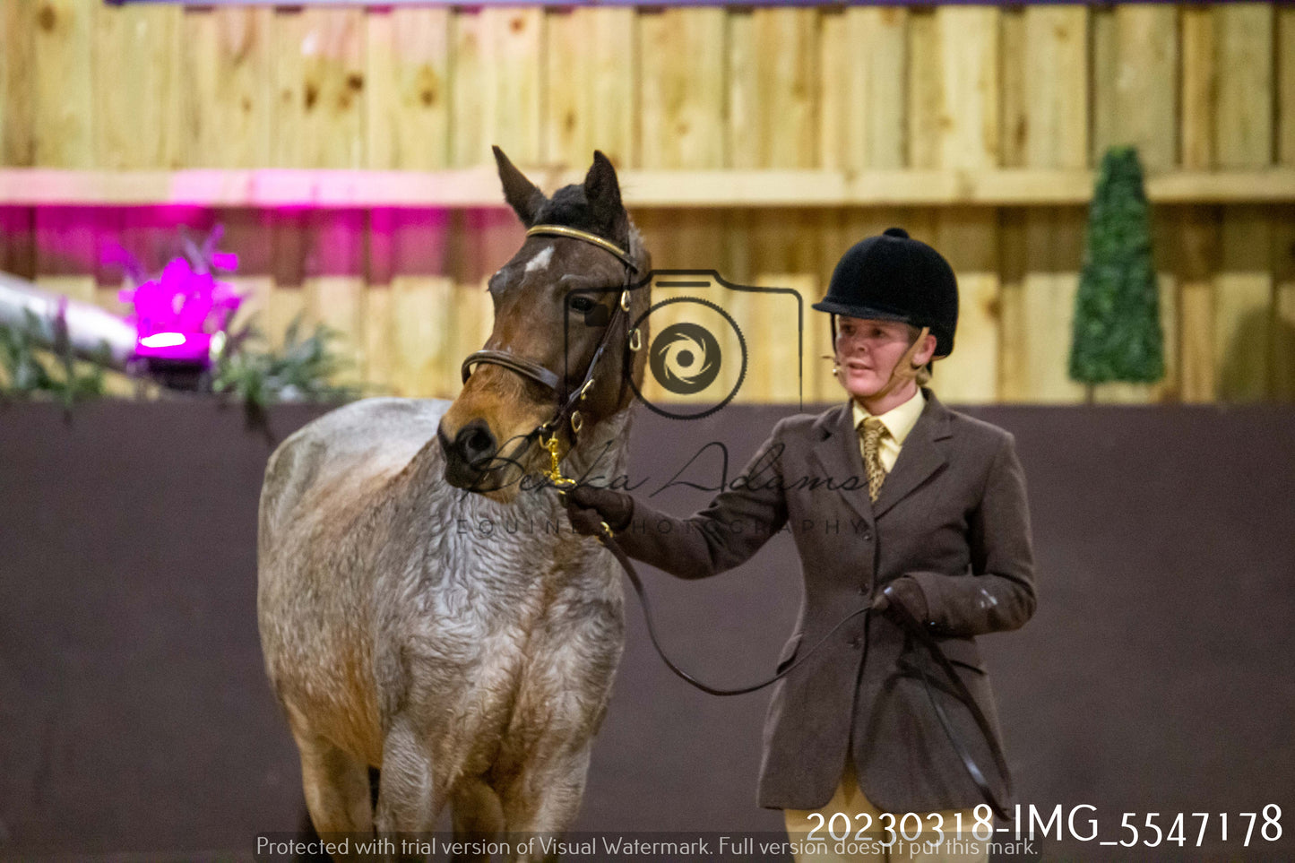 Home Farm Showing 18th March (Inhand)
