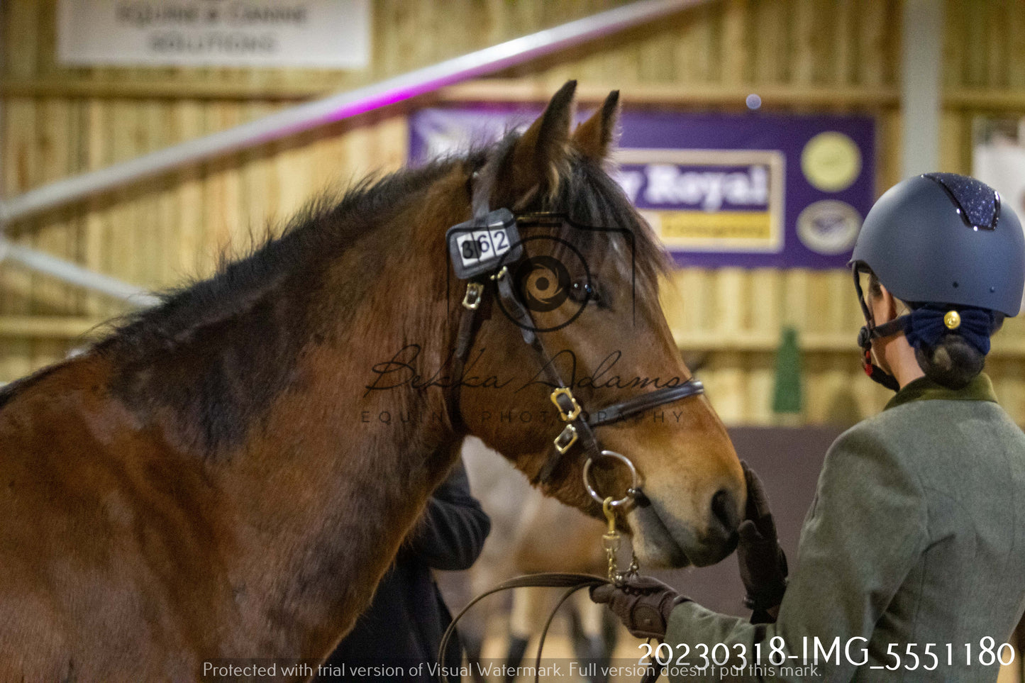 Home Farm Showing 18th March (Inhand)