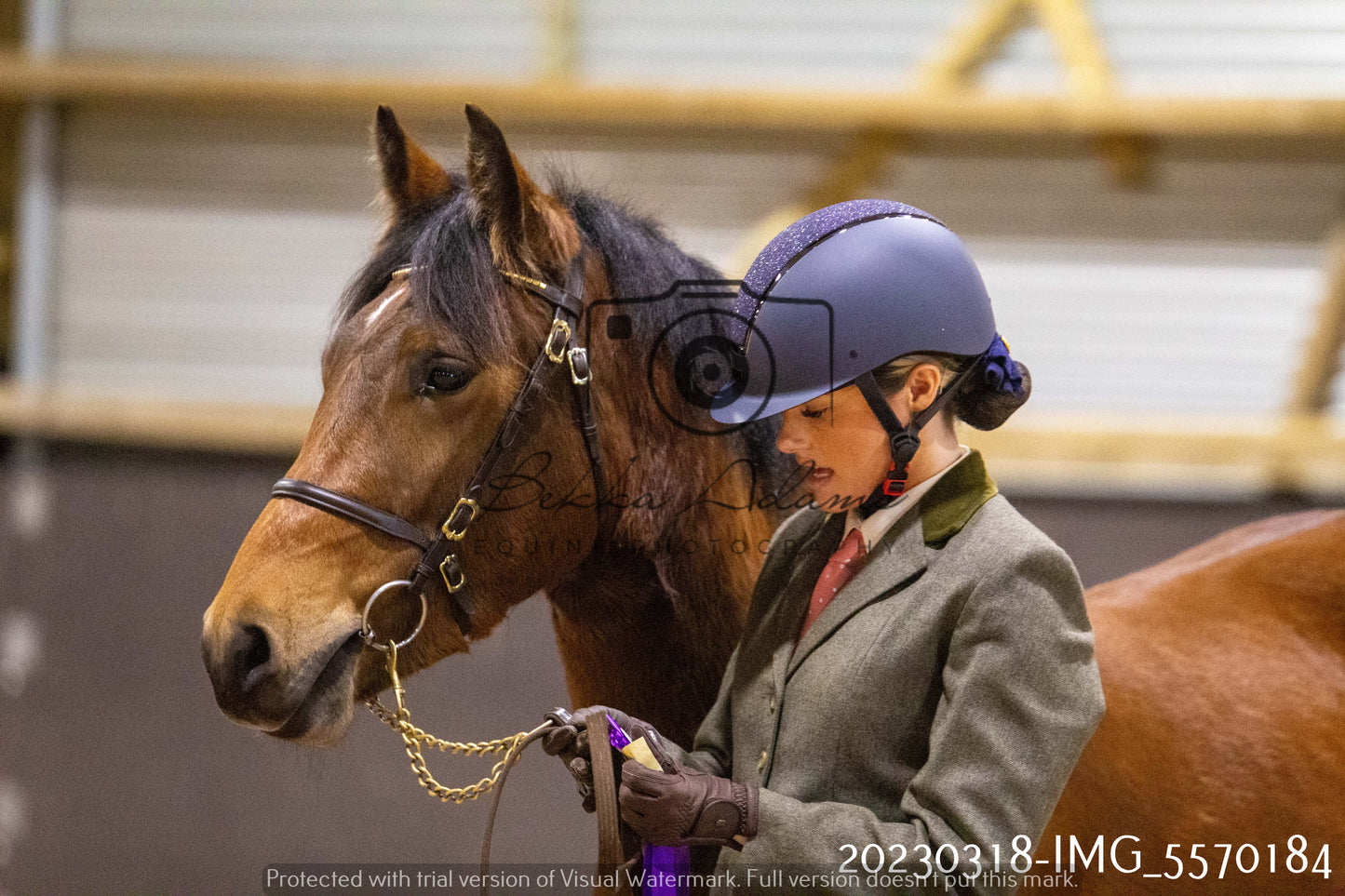 Home Farm Showing 18th March (Inhand)
