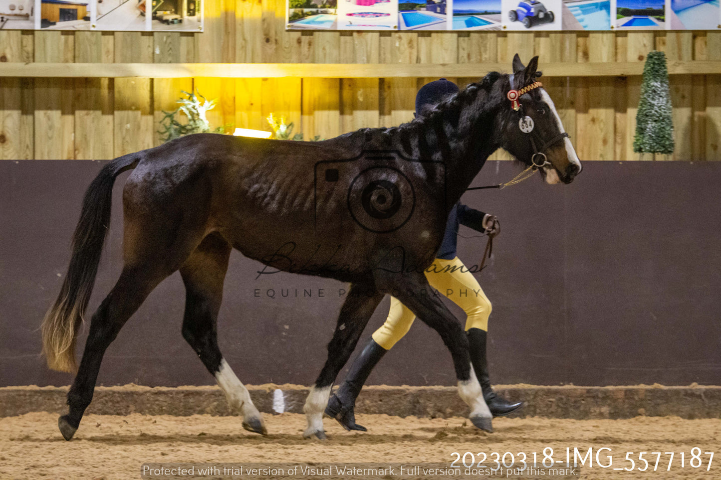 Home Farm Showing 18th March (Inhand)