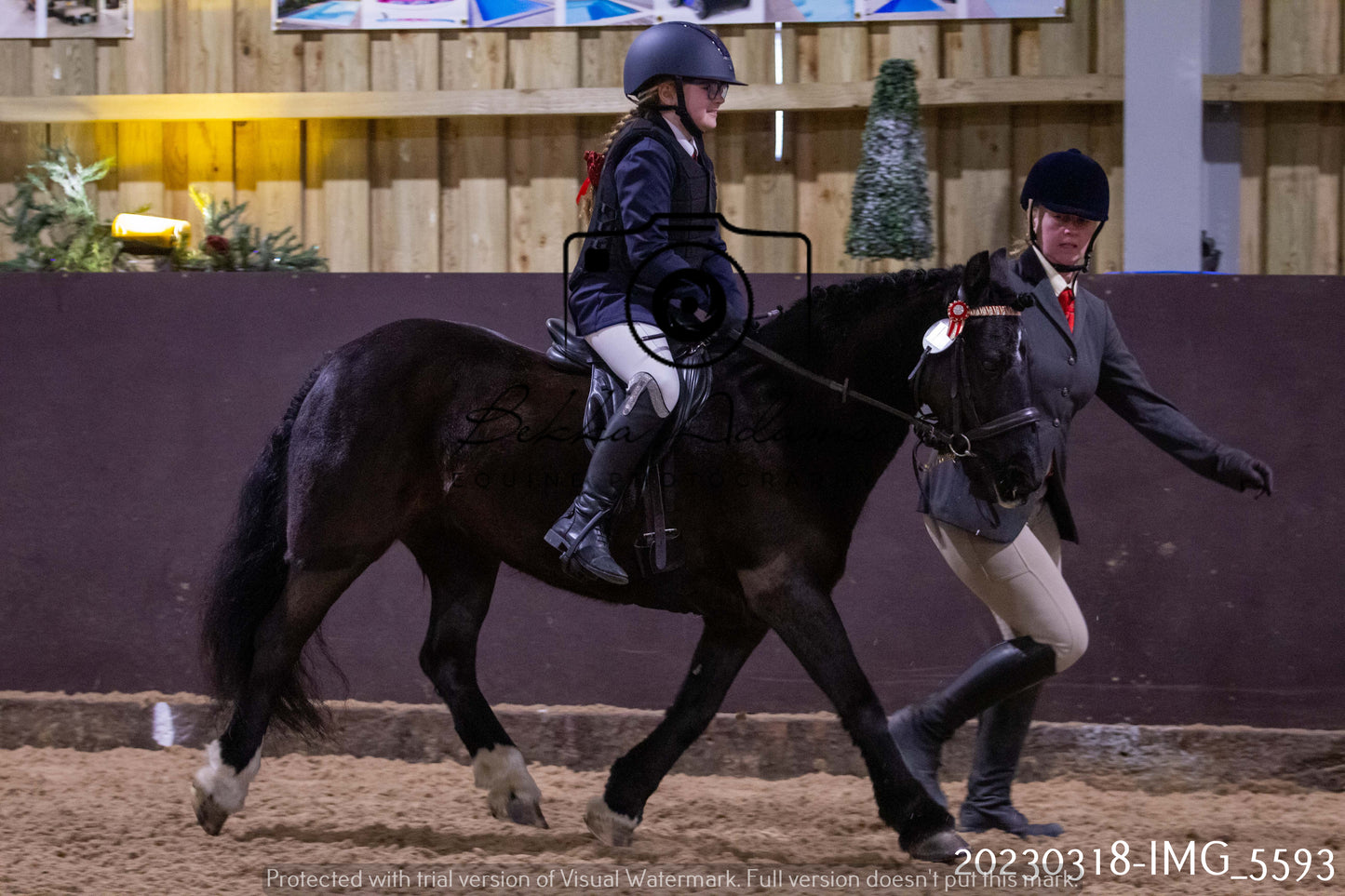 Home Farm Showing 19th March (Ridden) Pt 1