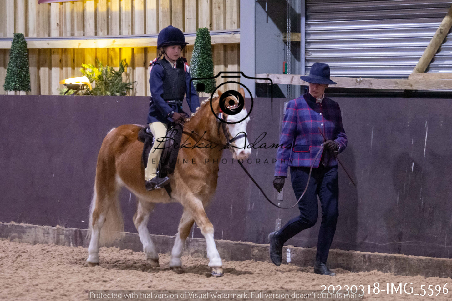 Home Farm Showing 19th March (Ridden) Pt 1