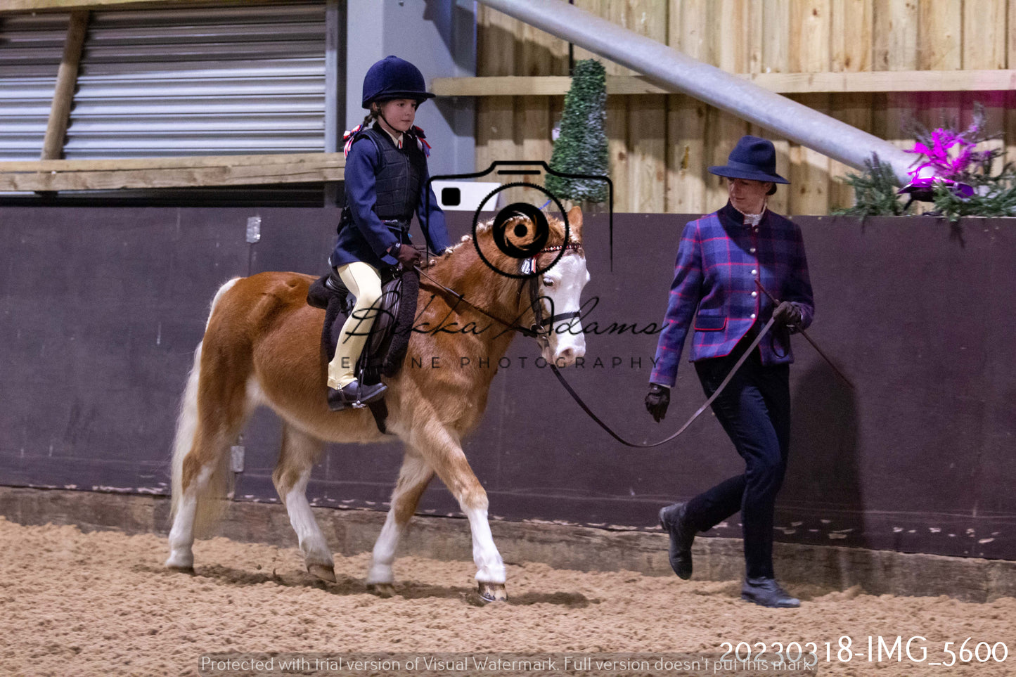 Home Farm Showing 19th March (Ridden) Pt 1