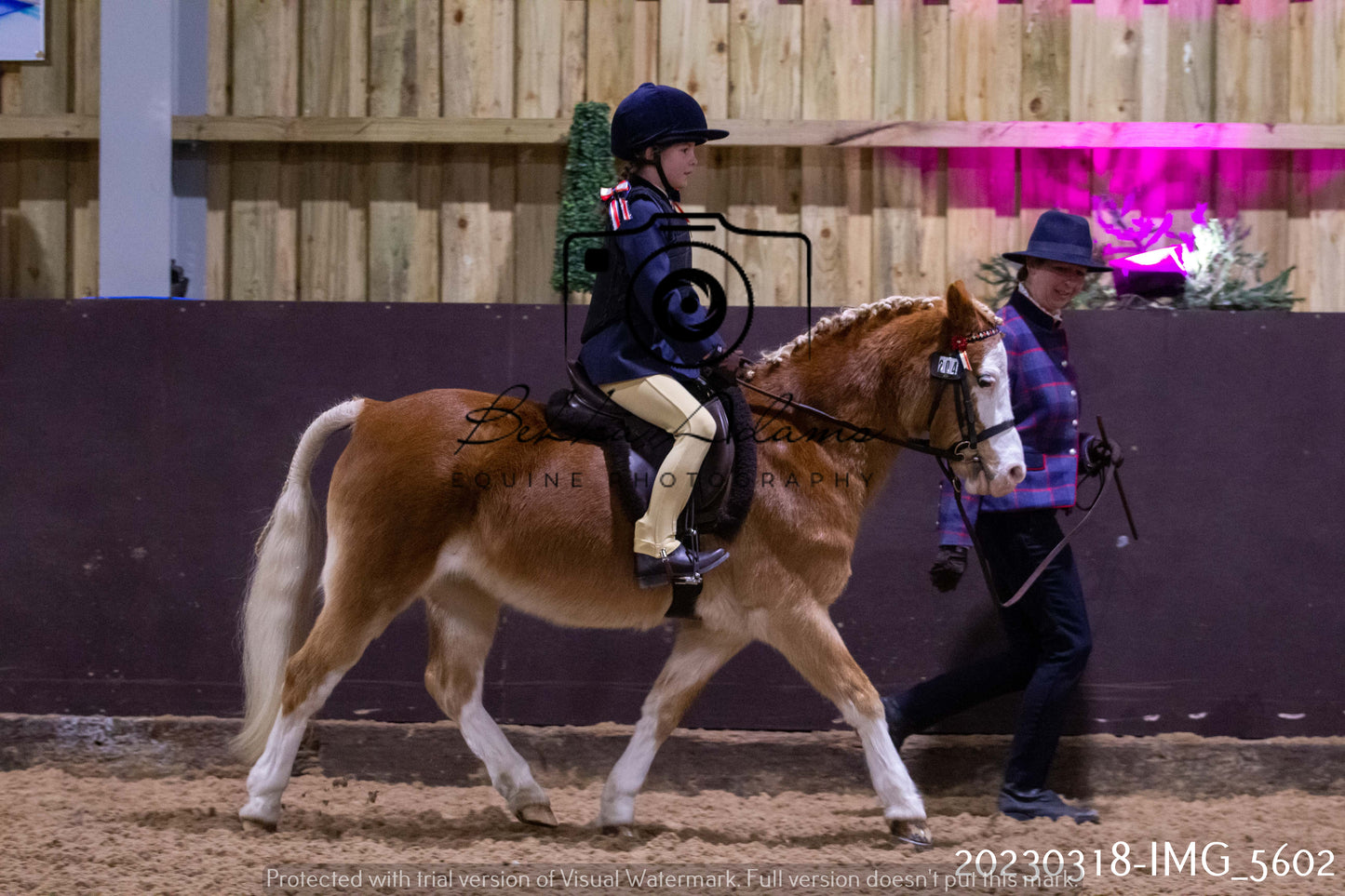 Home Farm Showing 19th March (Ridden) Pt 1