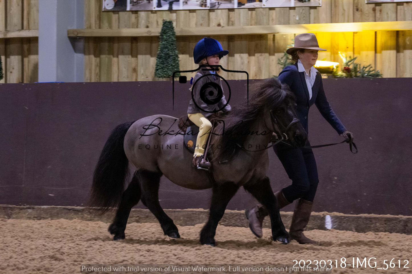 Home Farm Showing 19th March (Ridden) Pt 1