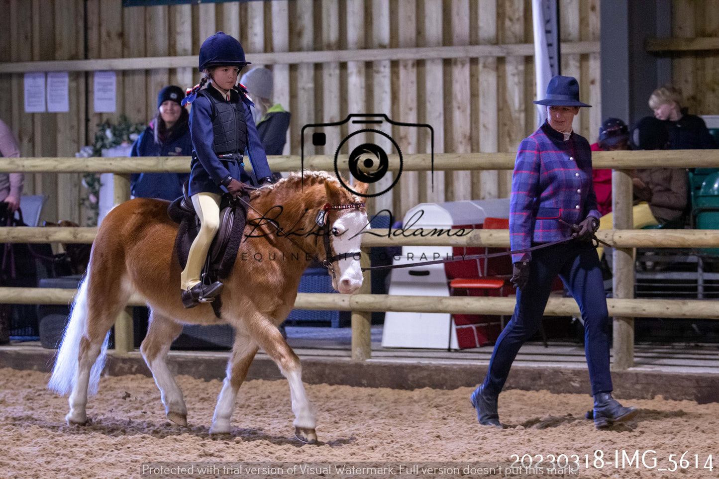 Home Farm Showing 19th March (Ridden) Pt 1