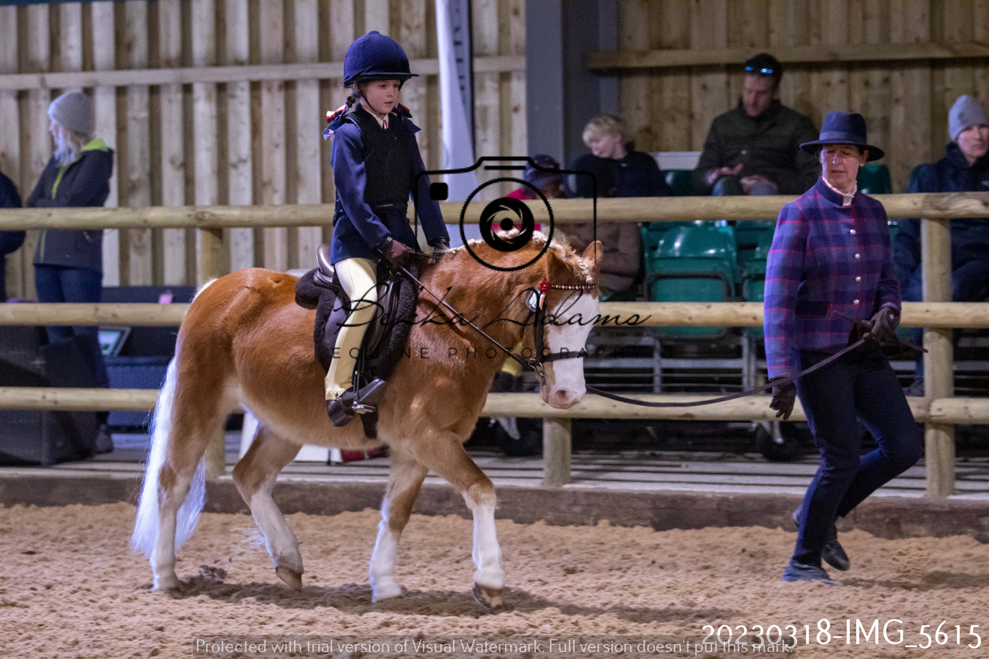 Home Farm Showing 19th March (Ridden) Pt 1