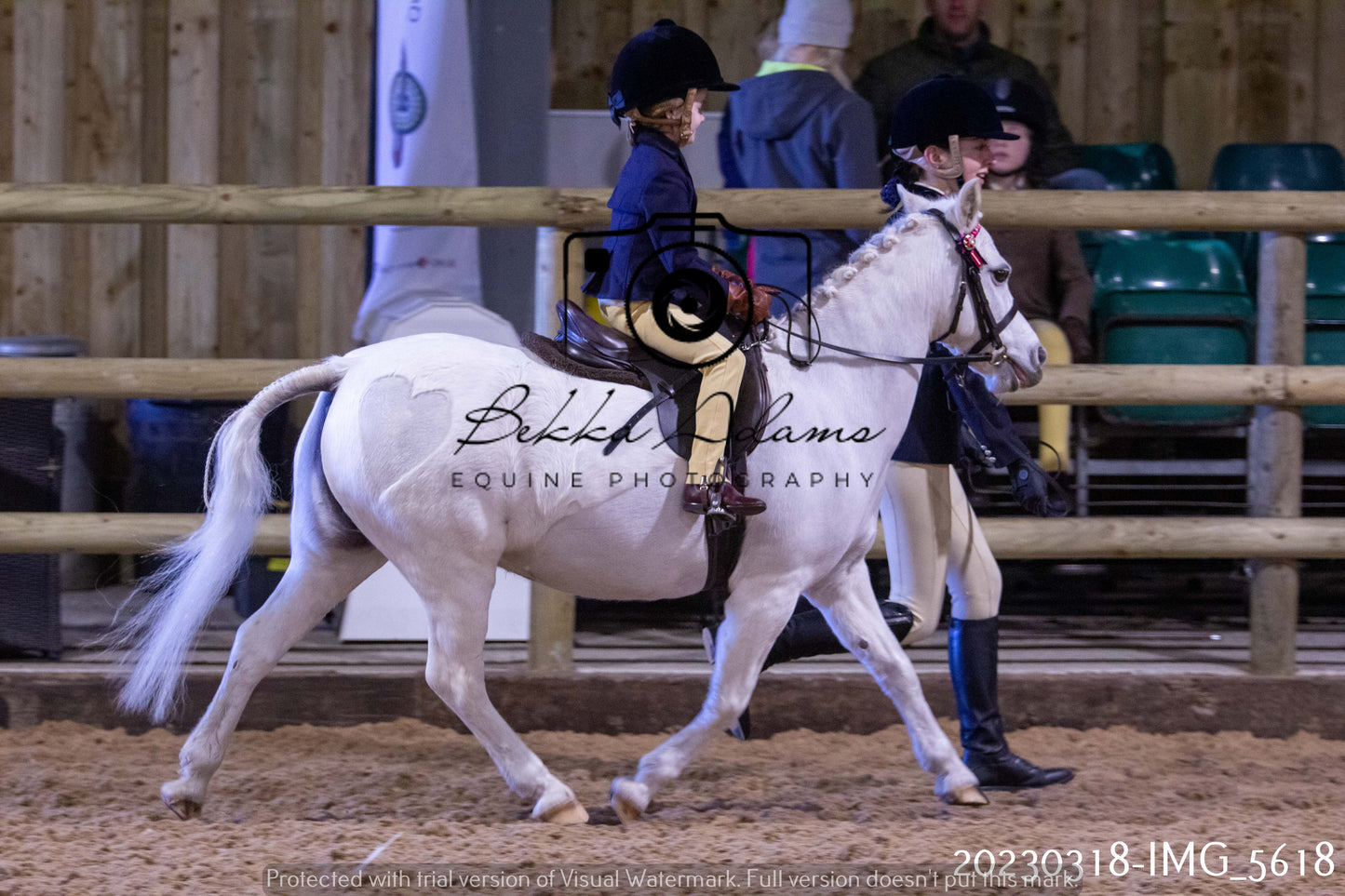 Home Farm Showing 19th March (Ridden) Pt 1